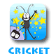 La semaine du Cricket