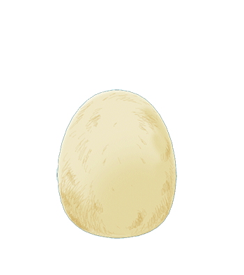 Egg